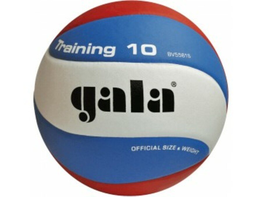 Volejbalový míč Gala Training