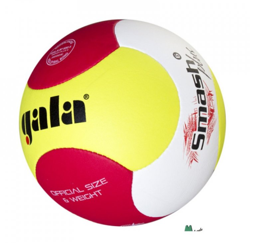 Volejbalový míč Gala Beach