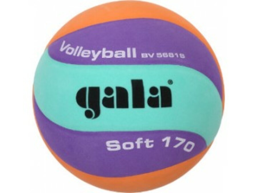 Volejbalový míč Gala Volleyball 170g