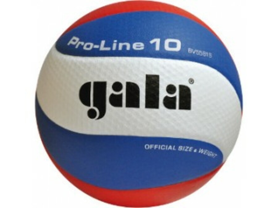 Volejbalový míč Gala PRO-LINE 10