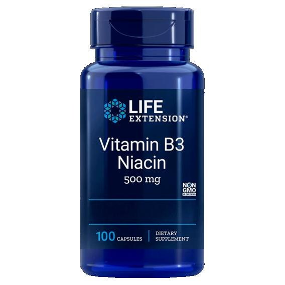 Life Extension Vitamin B3 Niacin